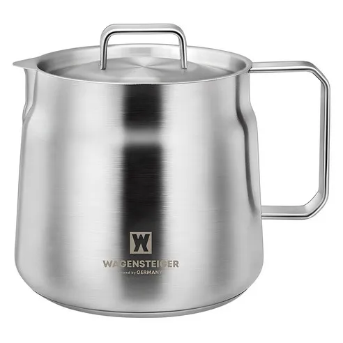 바겐슈타이거 IH 스텐 케틀팟 - 99,900원 가성비 끝판왕 (2025 리뷰)